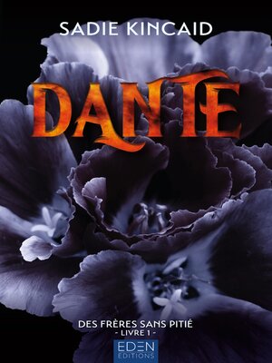 cover image of Les frères sans pitié T1